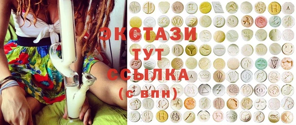 шишки Новодвинск