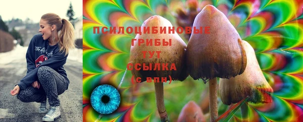 spice Новозыбков