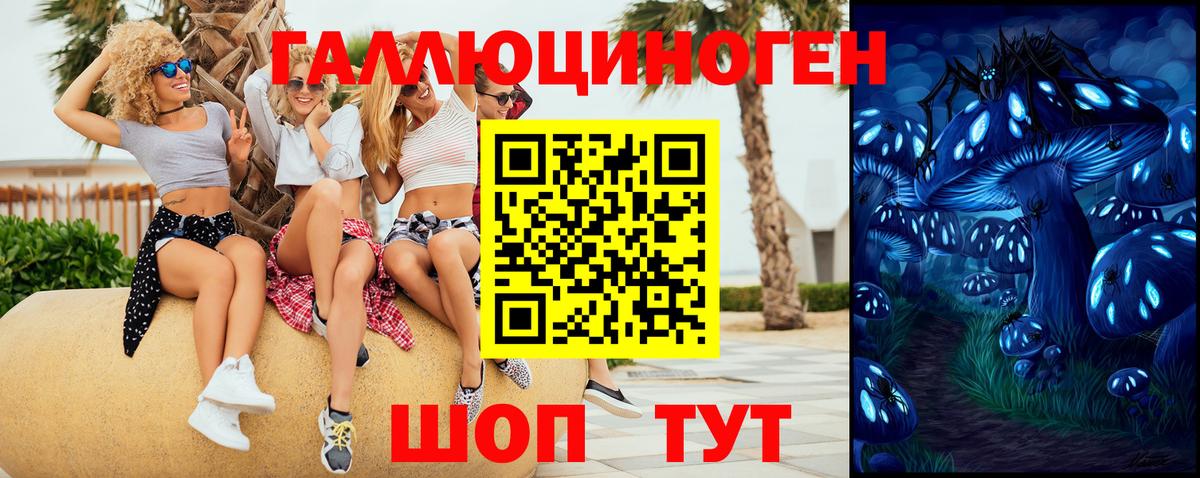 Псилоцибиновые грибы MAGIC MUSHROOMS  где можно купить наркотик  Галлюциногенные грибы мухоморы  Заволжье  Вход с VPN 