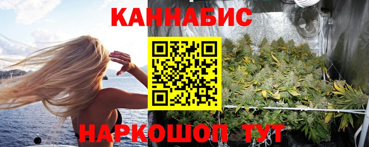 Конопля SATIVA & INDICA Заволжье